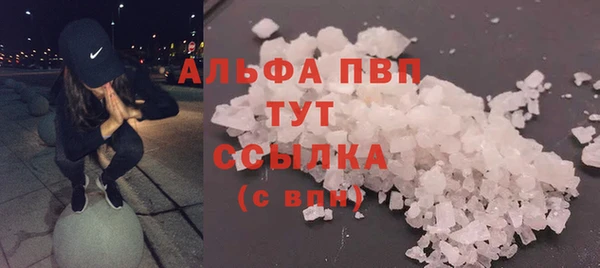 сатива Абаза