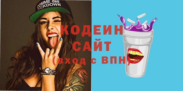 прущие грибы Рославль