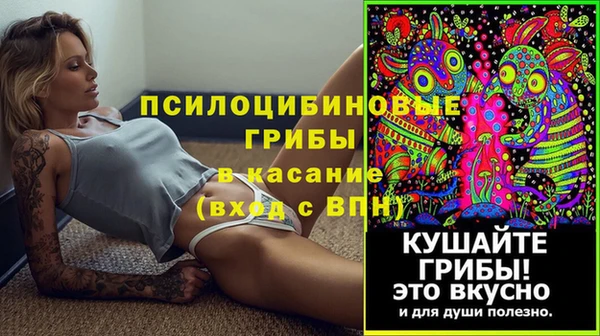 apvp Россошь