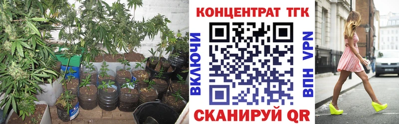 hydra ссылки  сколько стоит  Чегем  Дистиллят ТГК концентрат 
