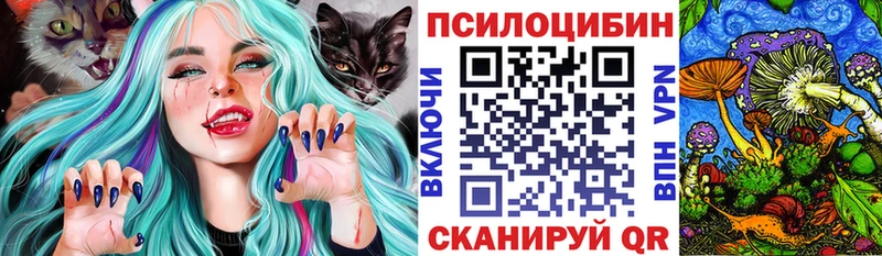 где купить наркоту  Чегем  Галлюциногенные грибы Cubensis 